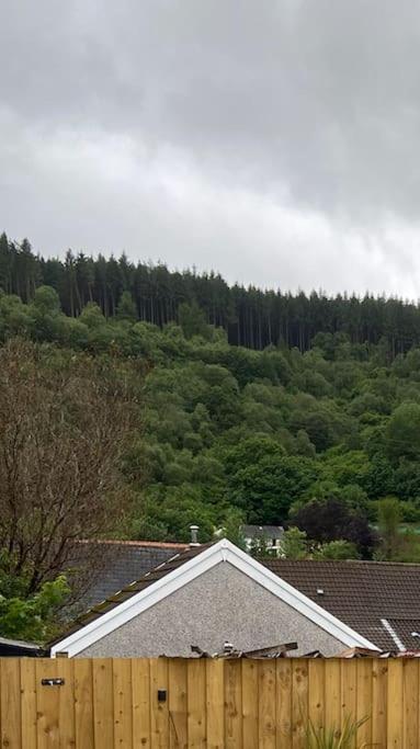 Brynhyfryd Cottage Aberaman ภายนอก รูปภาพ