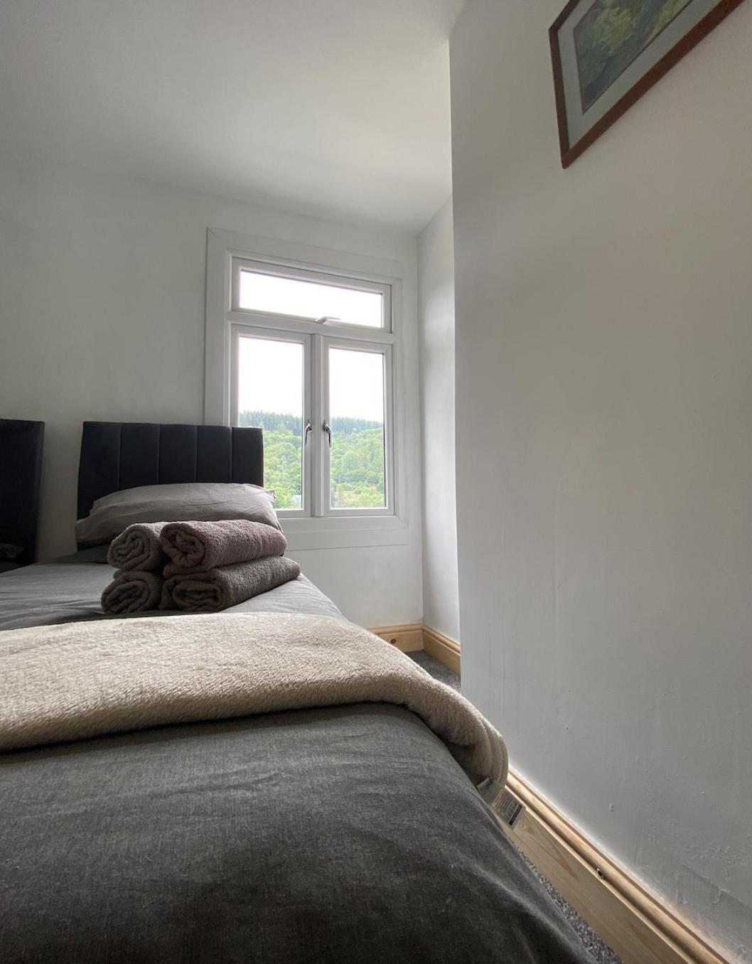 Brynhyfryd Cottage Aberaman ภายนอก รูปภาพ